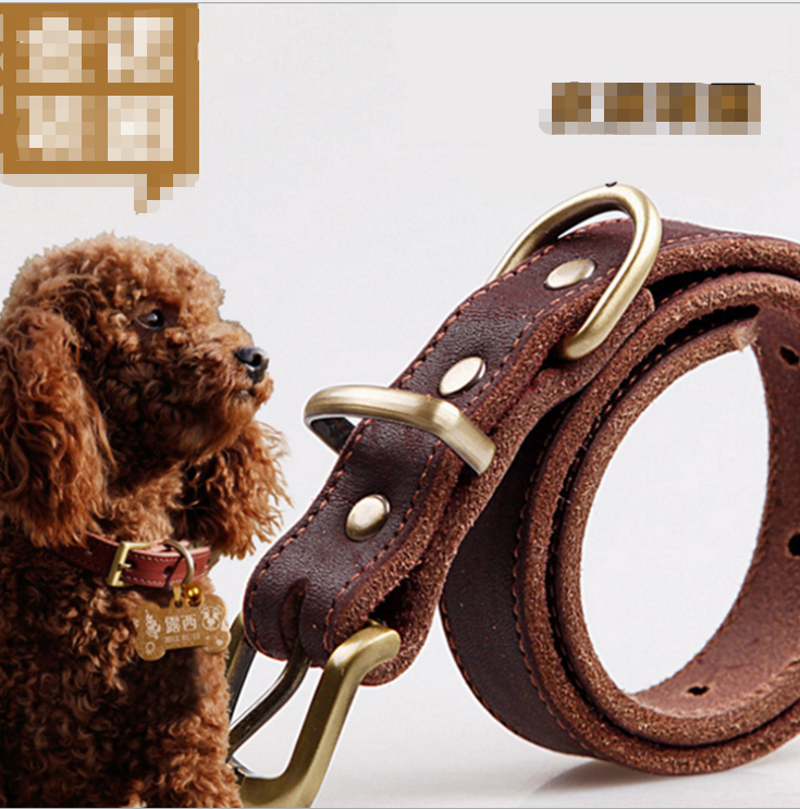 Top Grade Leather Dog Collar Pet Leads Alloy Buckle