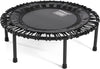 Mini Trampoline with Premium Bungees, Workout DVD, and Online Access to Video Workouts