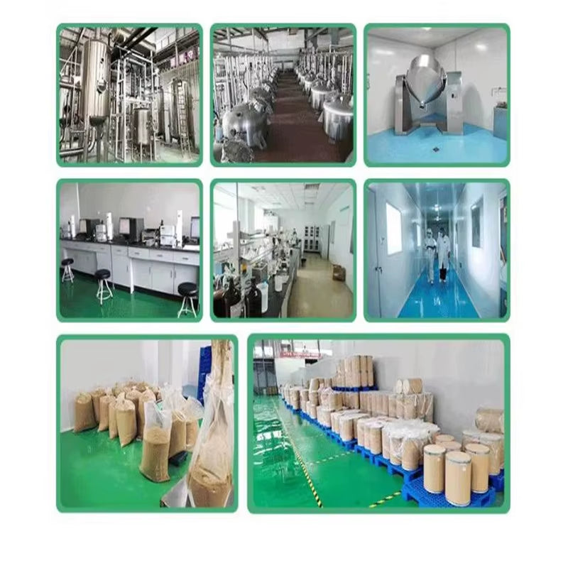 Factory Supply High Quality Hydrolyzed Silk Protein Powder Silk Protein Peptide