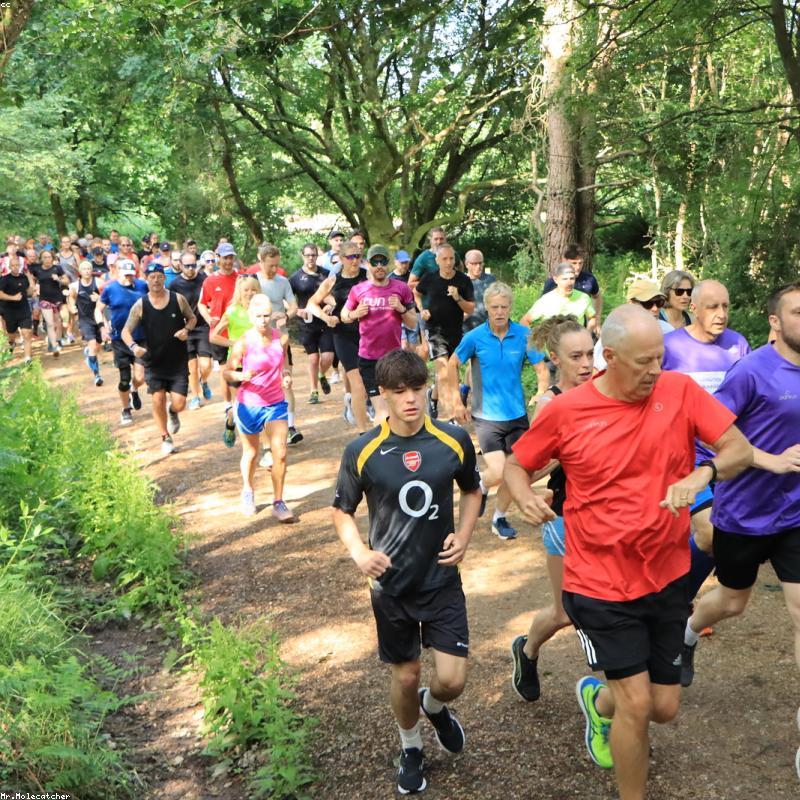 Schwinn IC4 Indoor Cycling Exercise Bike